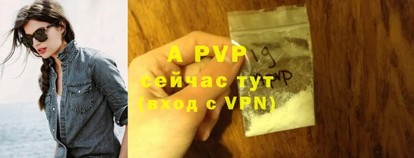 спиды Медногорск