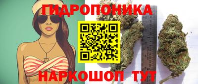MESCALINE Кингисепп