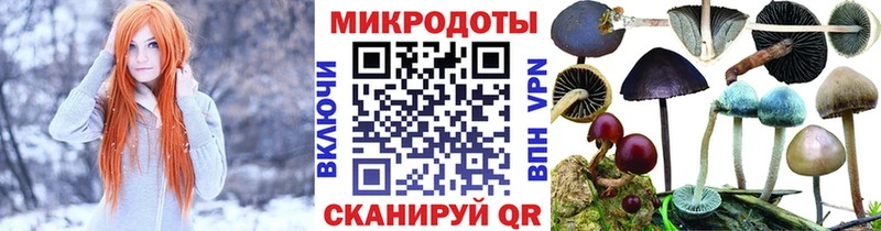 сколько стоит  Чернушка  Псилоцибиновые грибы GOLDEN TEACHER 