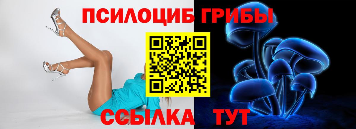 Псилоцибиновые грибы GOLDEN TEACHER Чернушка